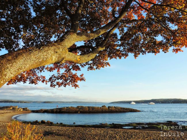 Podzim v Norsku, nákyp energie a jak probíhalo video-interview!