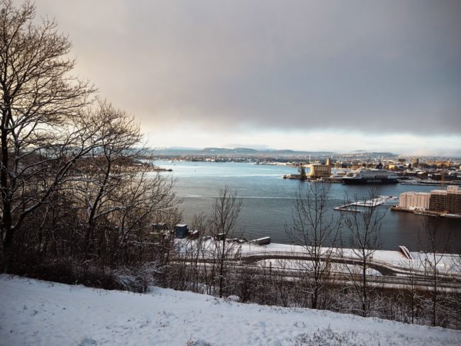 Proč se mi v posledních dnech nechtělo vůbec psát, jak se peru s lednem a jak v Oslu nepřetržitě sněží