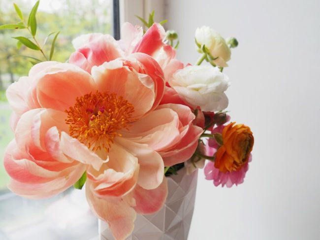 FRESH NEWS: Fresh flowers in the house – fresh ideas in my mind
