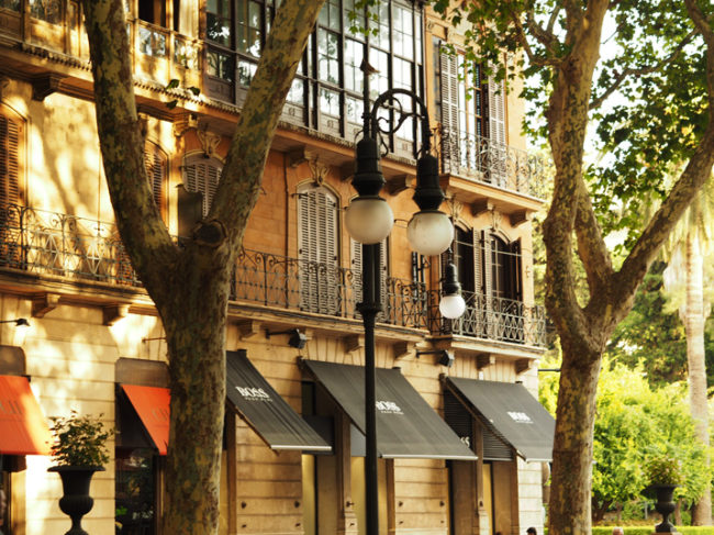 Palma de Mallorca plná palem, nádherných uliček a jednoho skvělého plážového tapas baru