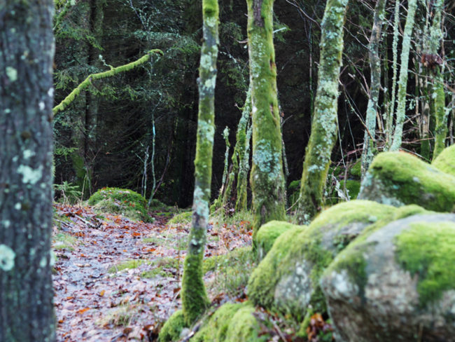 Praha a zanicnasvětěbychnevyměnila přátele VERSUS nádherné klidné Norsko