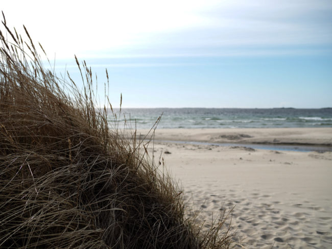 FRESH NEWS: Nejoblíbenější pláž, nádherné křtiny, sladký dort a norský bunad