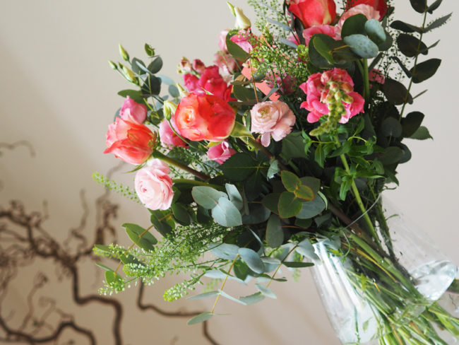 FRESH NEWS: Překvapení dne