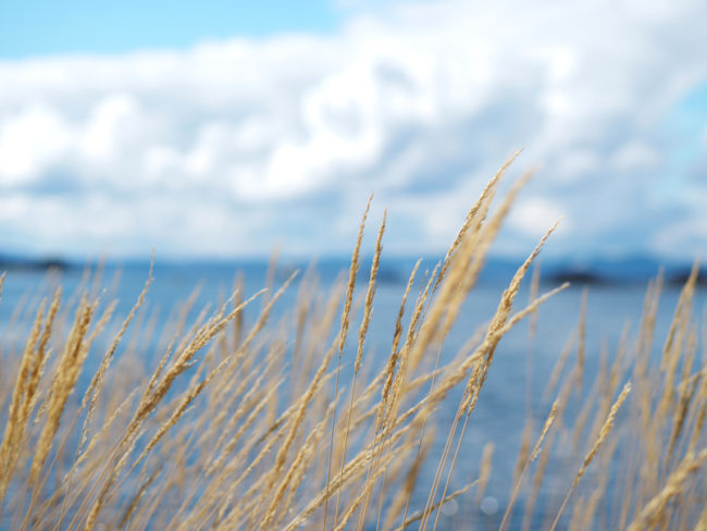 Moment vděčnosti, který mě dneska přepadnul v letadle